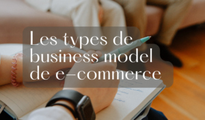 business model de e-commerce